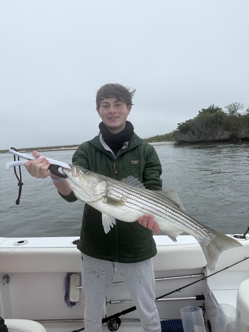 Striper and fluke fishing